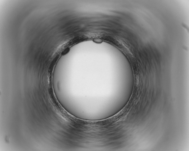 X0000094450733200711081047