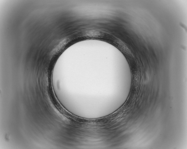 X0000094450734200711081047