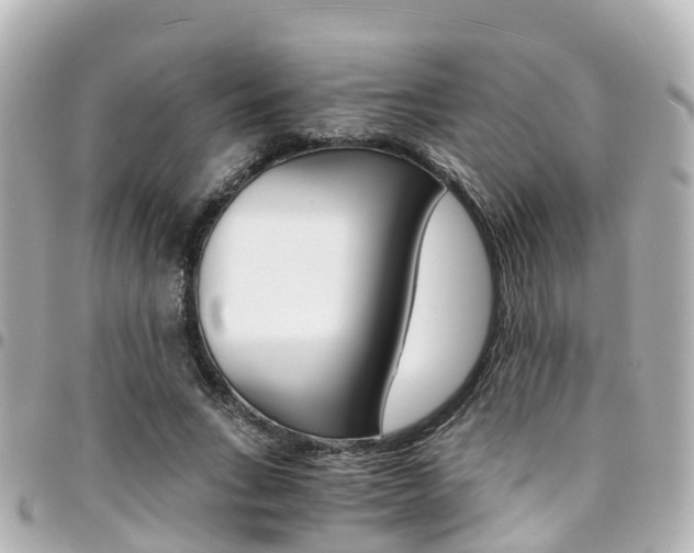 X0000094450735200711081047