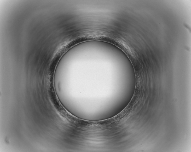 X0000094450736200711081047