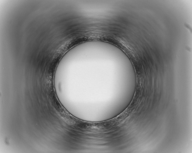 X0000094450737200711081047