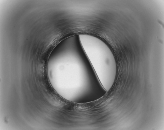 X0000094450739200711081047