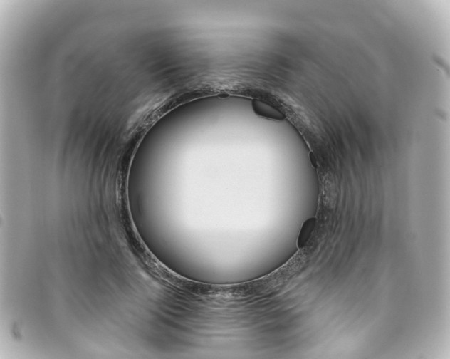 X0000094450740200711081047