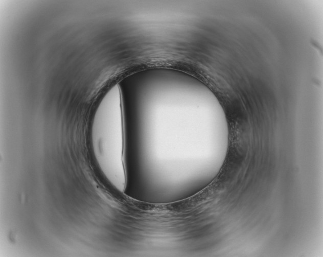 X0000094450742200711081047