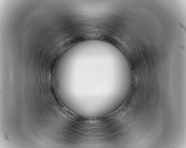 X0000094450745200711081047