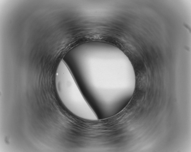 X0000094450747200711081047