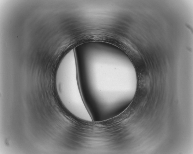 X0000094450748200711081047