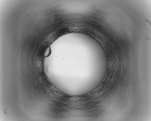 X0000094450749200711081047
