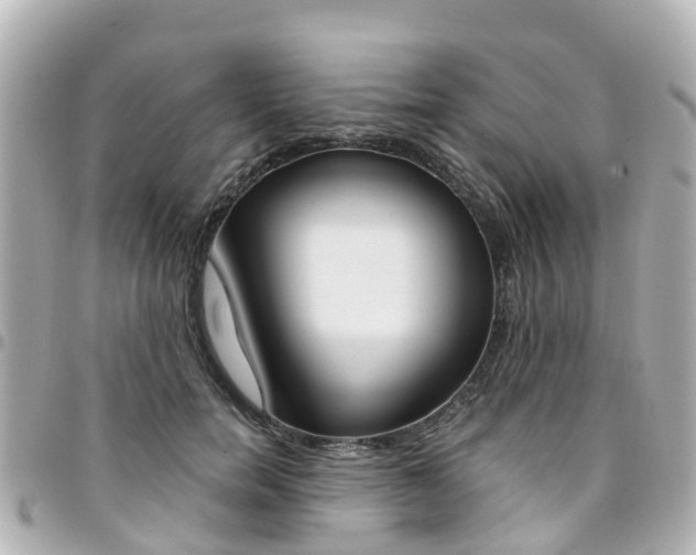 X0000094450750200711081047