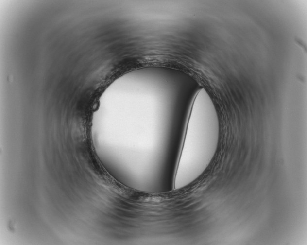 X0000094450751200711081047