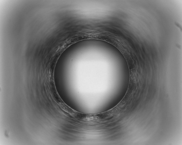X0000094450752200711081047