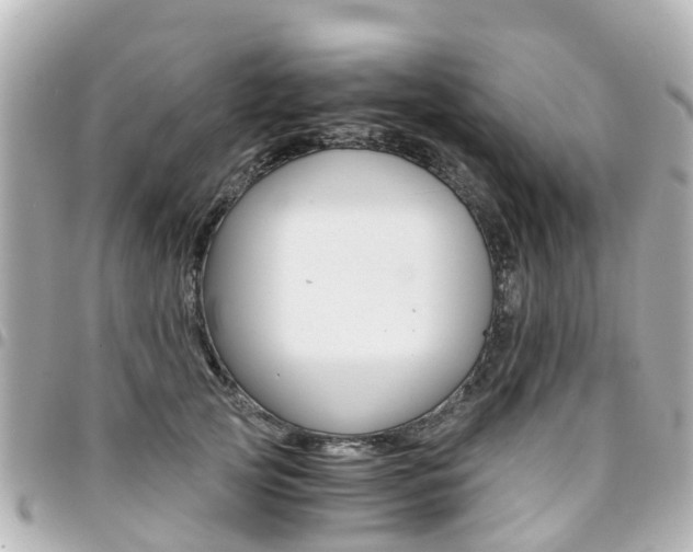 X0000094450753200711081047