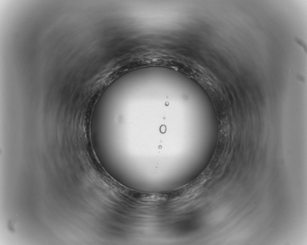 X0000094450754200711081047