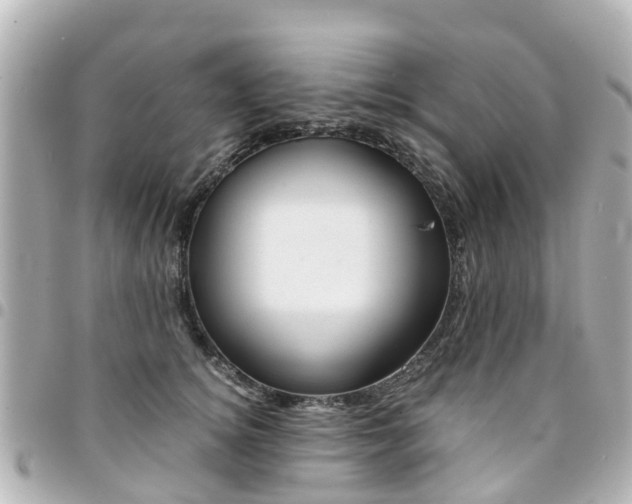 X0000094450756200711081047