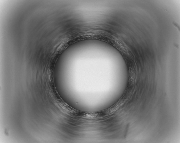 X0000094450758200711081047