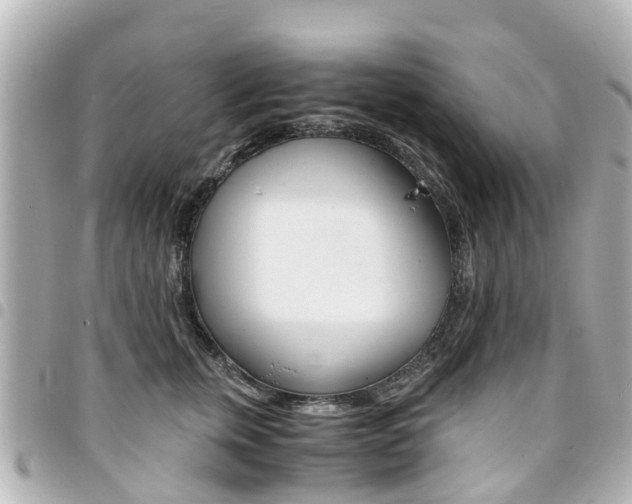 X0000094450759200711081047