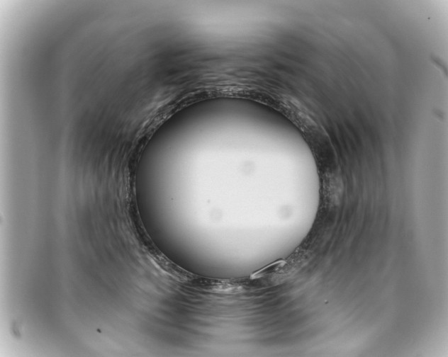 X0000094450760200711081047