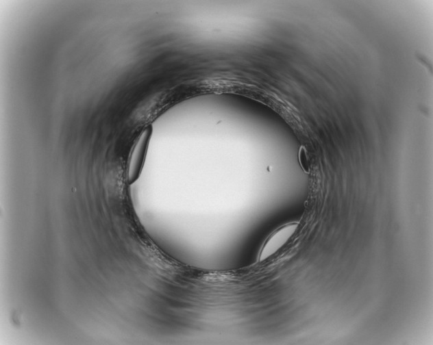 X0000094450762200711081047