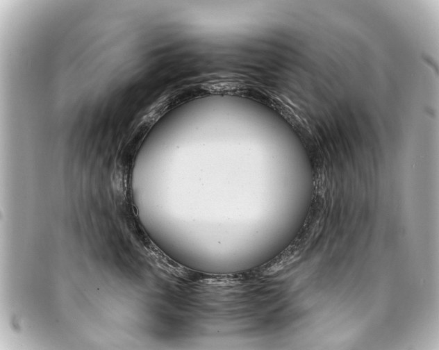 X0000094450763200711081047
