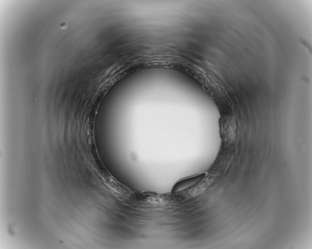 X0000094450764200711081047