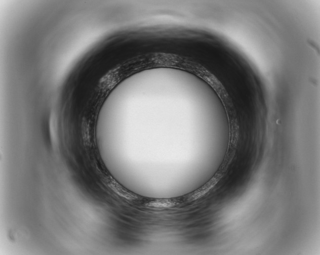X0000094450765200711081047