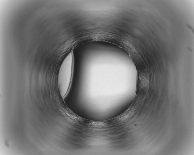 X0000094450766200711081047