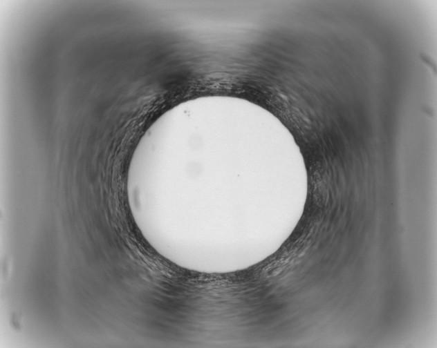 X0000094450769200711081046