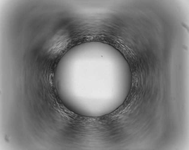 X0000094450770200711081046