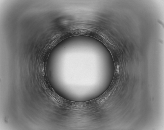 X0000094450771200711081046