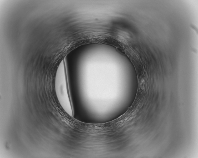 X0000094450772200711081046