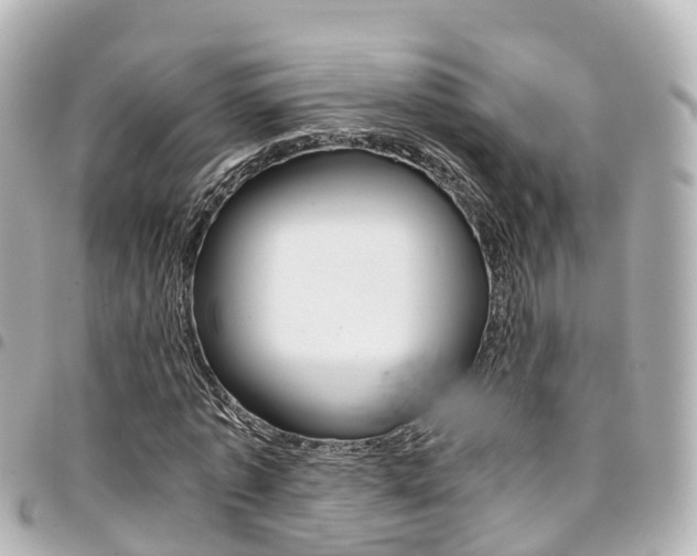 X0000094450773200711081046