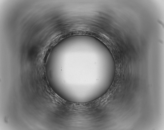 X0000094450774200711081046