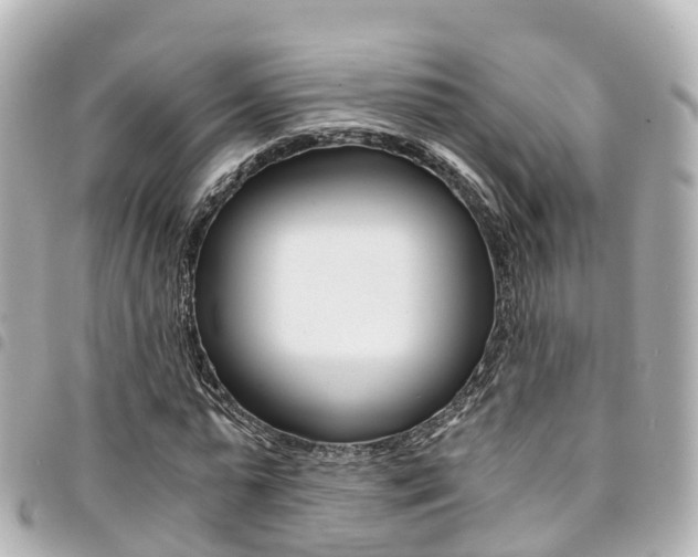 X0000094450775200711081046