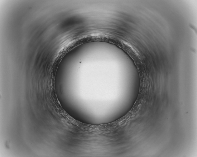 X0000094450776200711081046