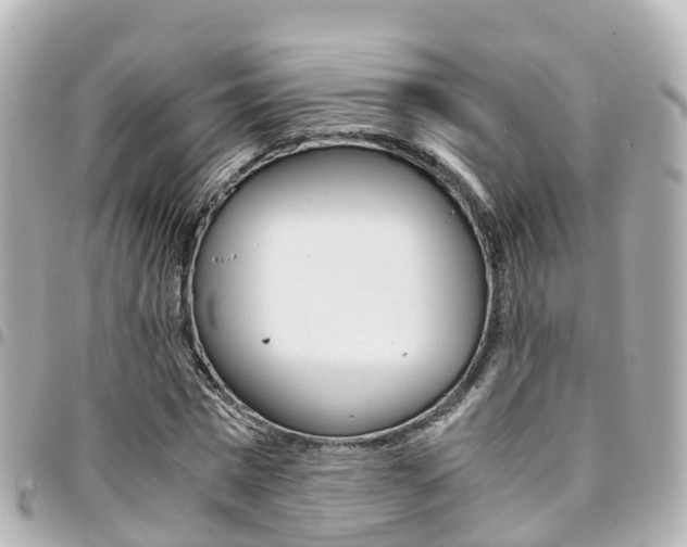 X0000094450777200711081046