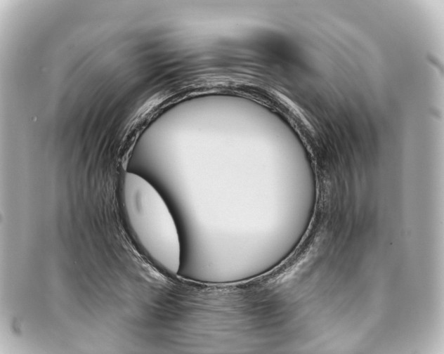 X0000094450778200711081046