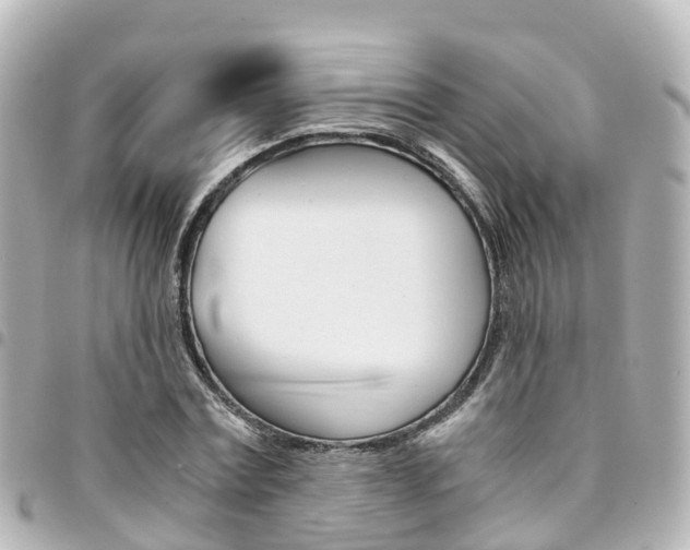 X0000094450779200711081046