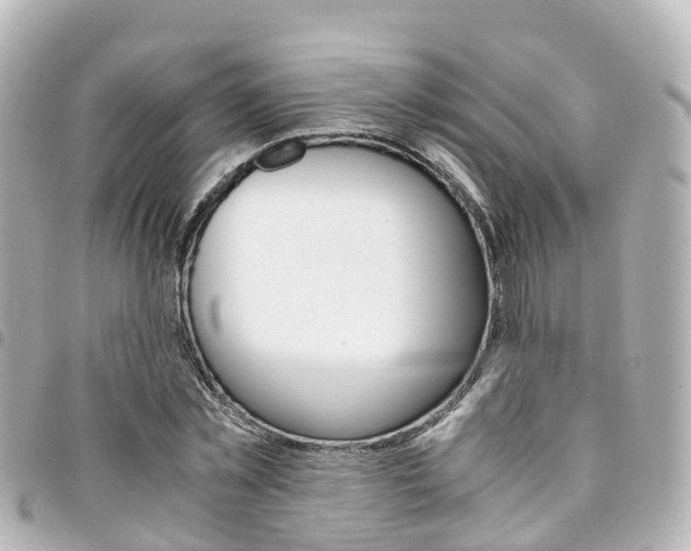 X0000094450781200711081046
