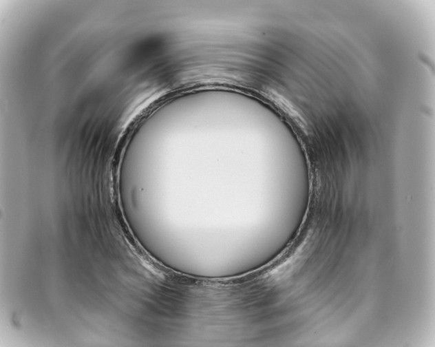 X0000094450782200711081046