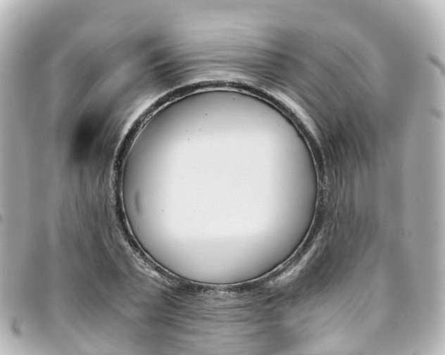 X0000094450783200711081046