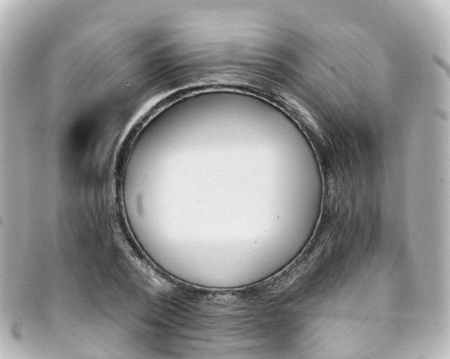 X0000094450784200711081046