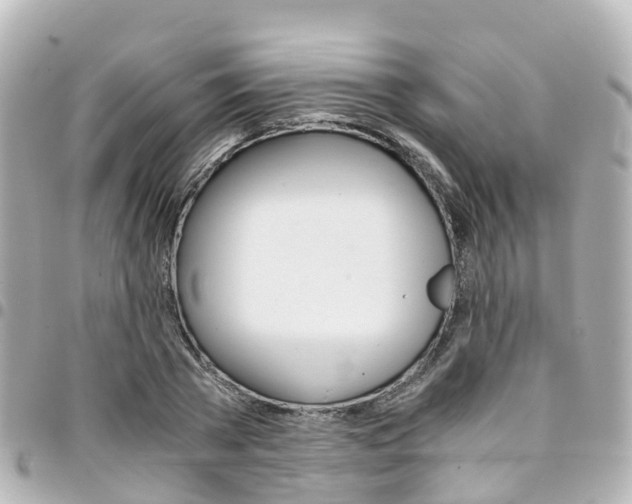 X0000094450785200711081046