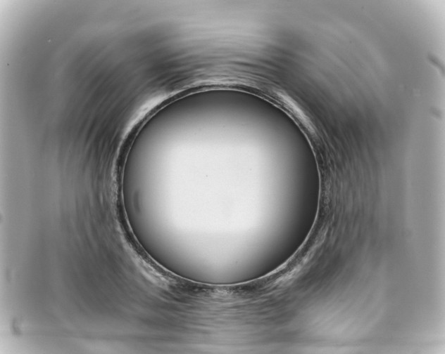 X0000094450787200711081046
