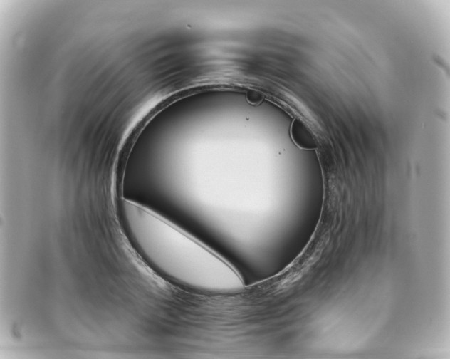 X0000094450788200711081046