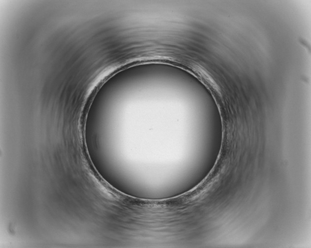 X0000094450789200711081046