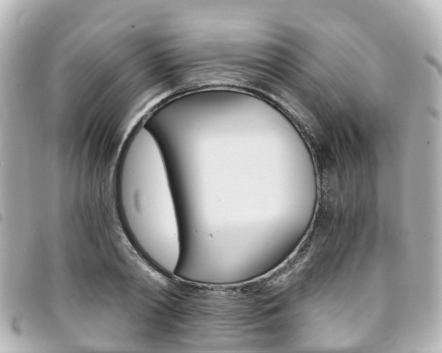 X0000094450790200711081046