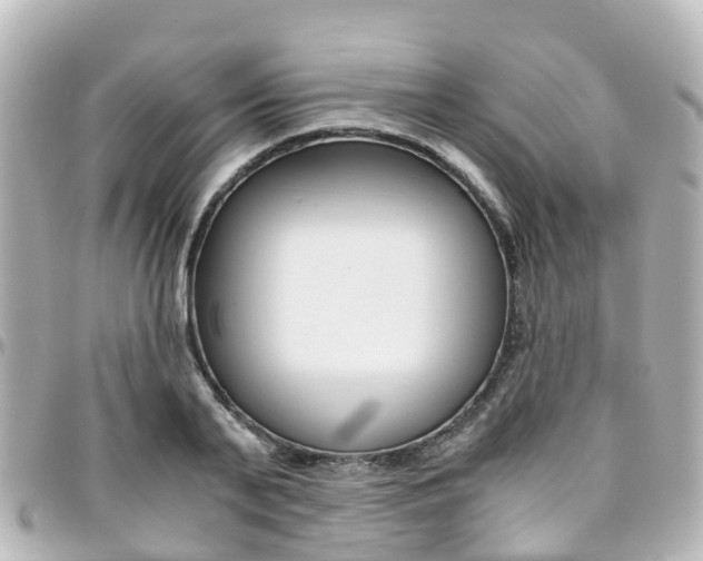 X0000094450791200711081046