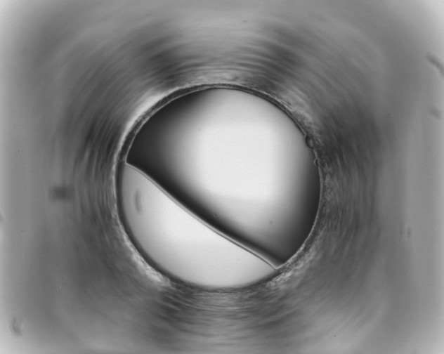 X0000094450792200711081046