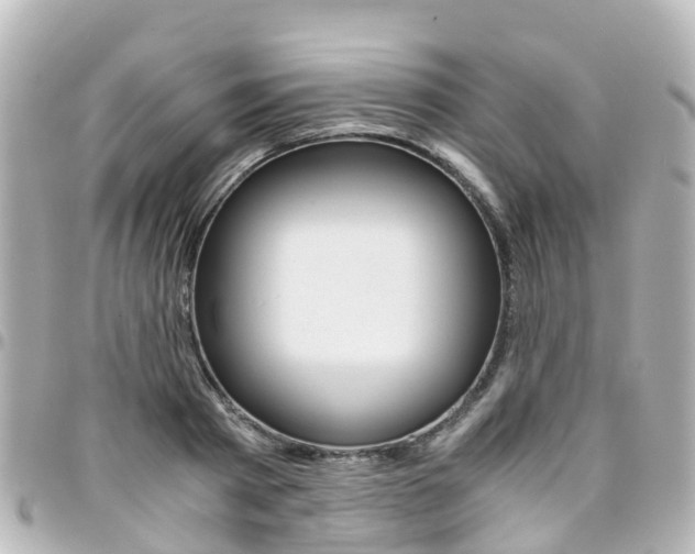 X0000094450793200711081046