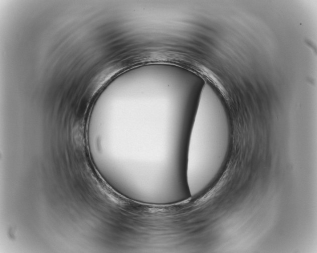 X0000094450794200711081046